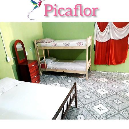 푸에르토이과수 Alojamiento Picaflor Iguazu 호스텔 외부 사진
